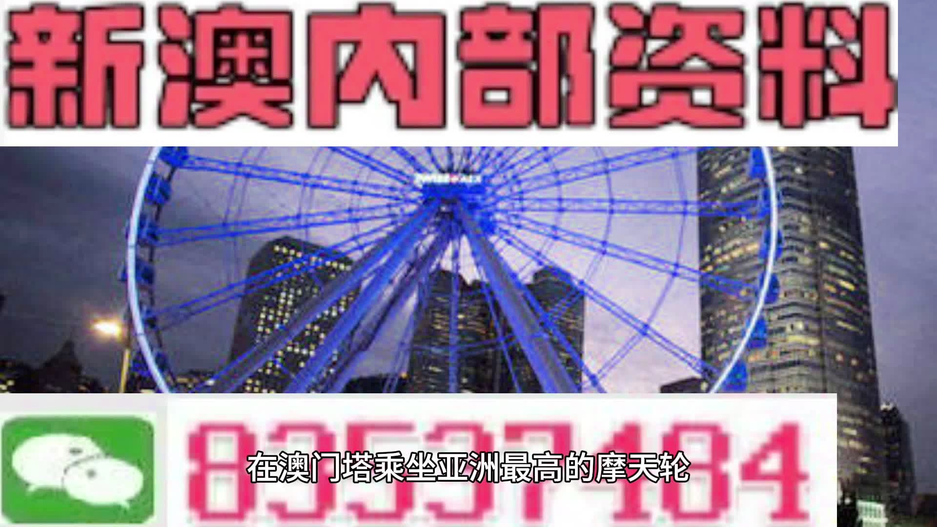 2025年新澳门王中王资料,精准解答解释落实