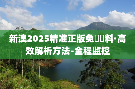 新澳2025精准正版免費資料,警惕虚假宣传,全面解释落实