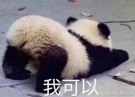 今晚四不像一肖图今晚四不像吧,构建解答解释落实
