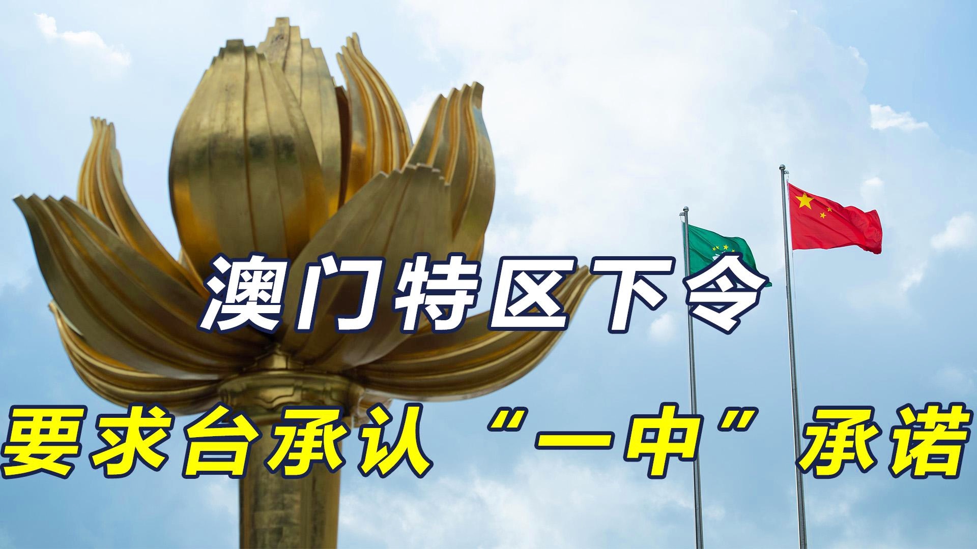 澳门一码一肖一特一中中什么号码