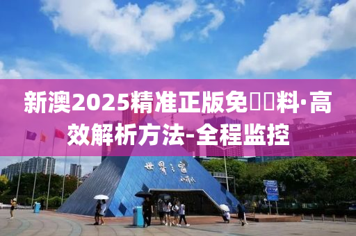 新澳2025精准正版免費資料具有参考性,全面释义、解释与落实
