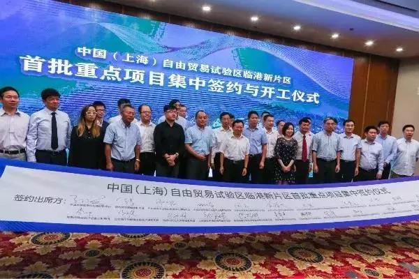 新奥最精准免费大全官方版亮点分享,详细解答、解释与落实