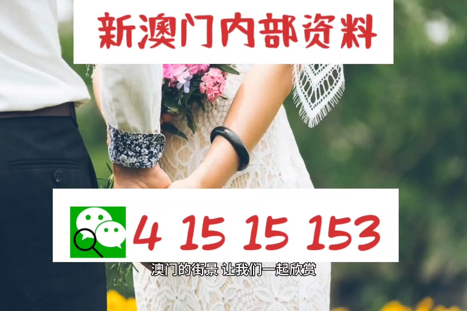 新澳2025年最新版资料,新澳2025年最新资料概览