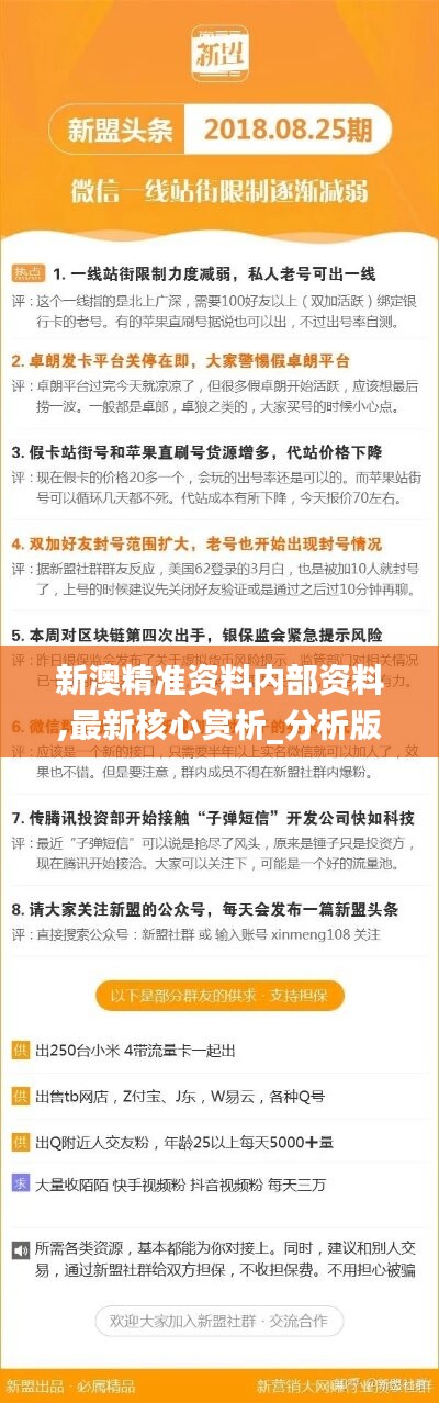 全面解析,2025年新澳正版资料查询方法与落实策略